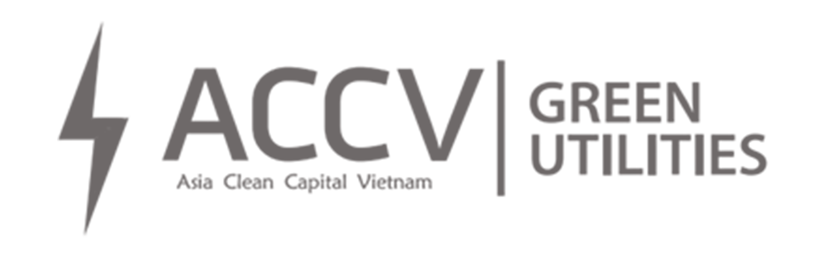 Logo ACCV