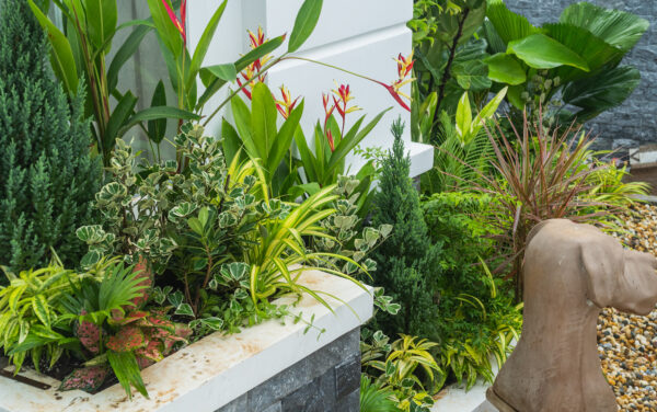 thi công cây xanh biệt thự