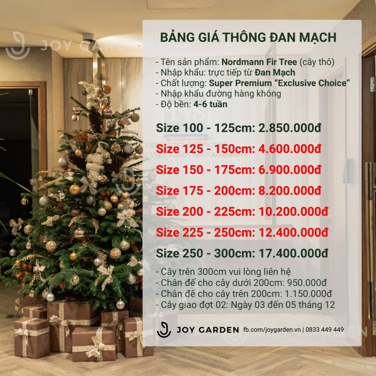 Bảng giá thông đan mạch 2025