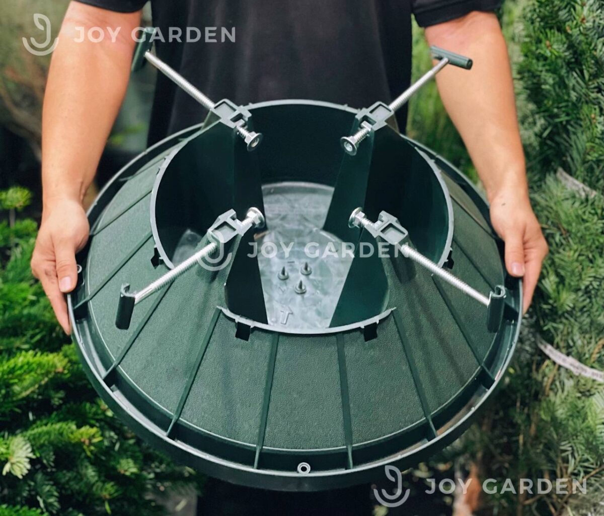 Chân đế thông đan mạch