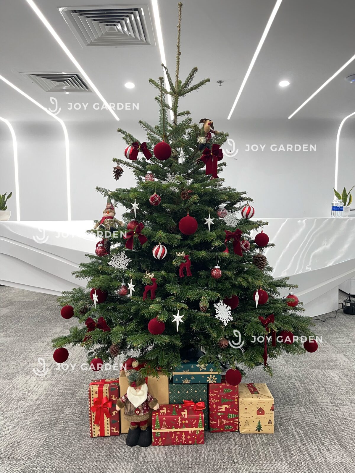 Trang trí thông đan mạch