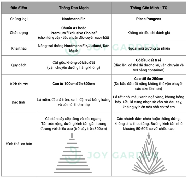 So sánh thông đan mạch và thông trung quốc