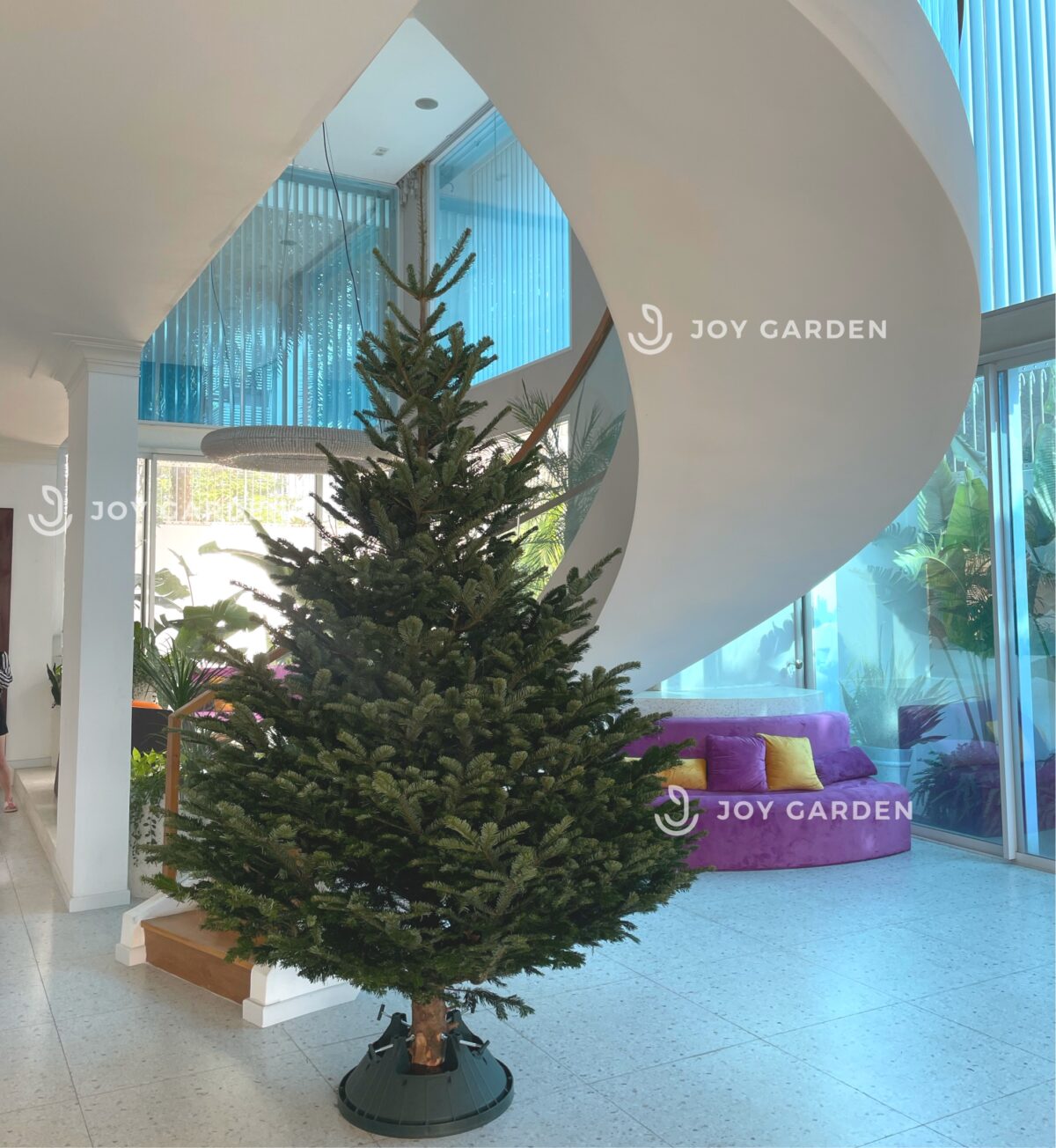 Thông đan mạch 300cm