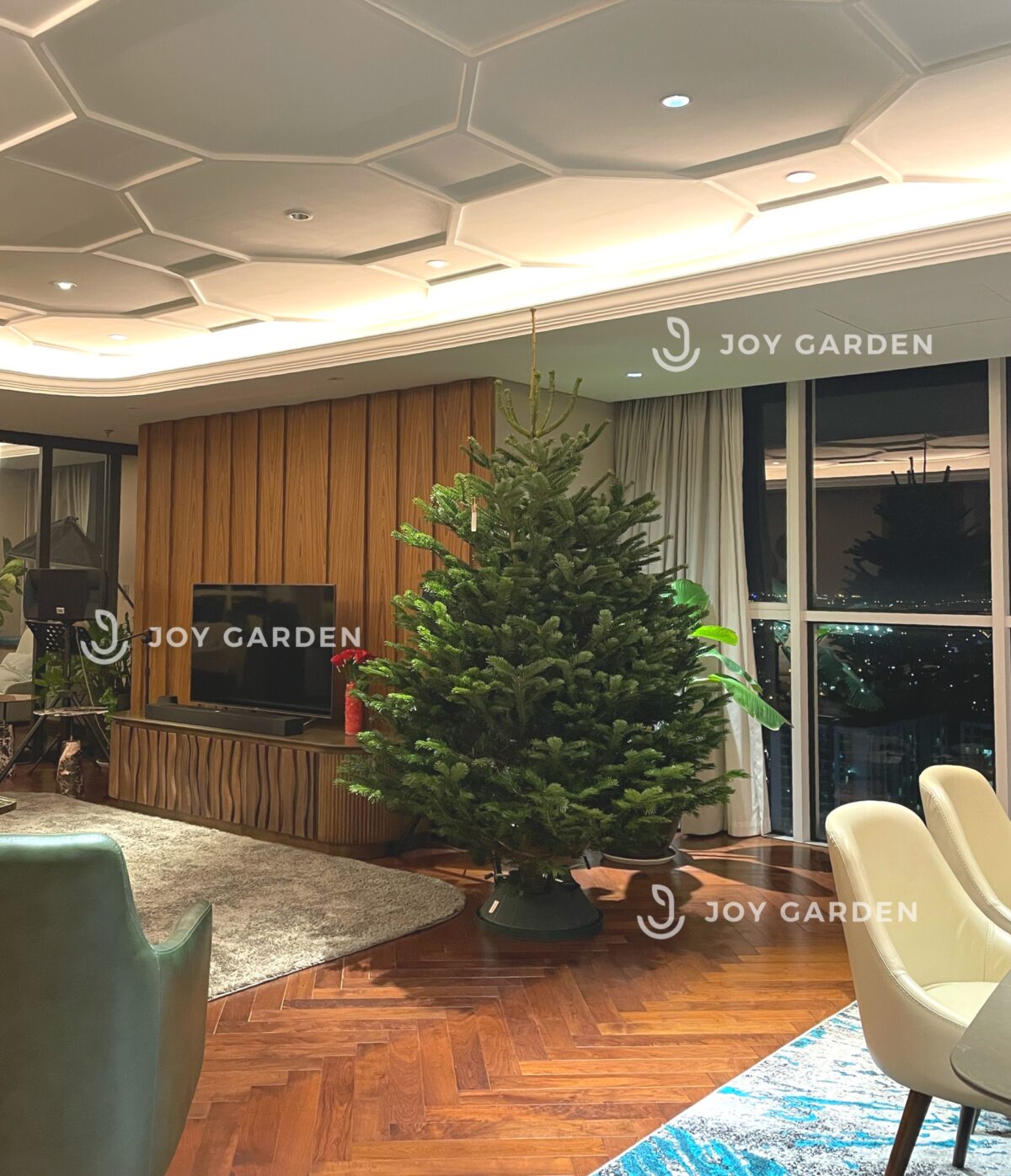 Thông đan mạch size 200-225cm